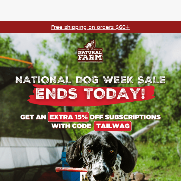 ENDS TODAY: 15% Off National Dog Week!