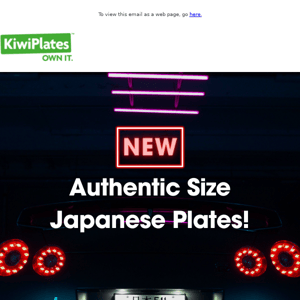 NEW! Authentic Size Japanese Plates 🇯🇵
