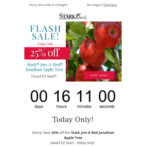 ⚡🍎 FLASH SALE!  Today Only - 25% off Stark® Jon-A-Red® Jonathan Apple Tree