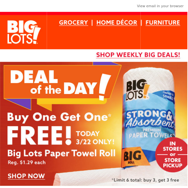 BOGO FREE Big Lots paper towels TODAY ONLY!