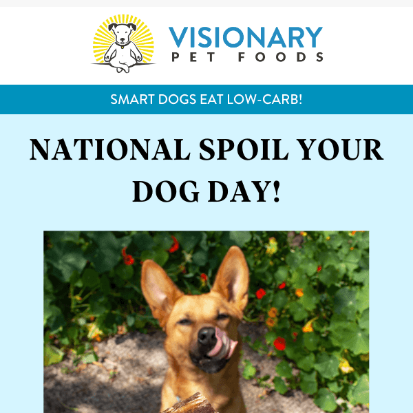 It's Spoil Your Dog Day!