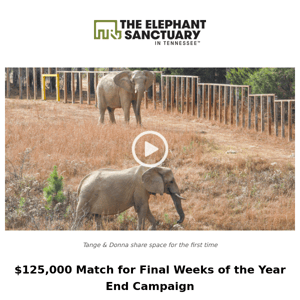 Lota - The Elephant Sanctuary in Tennessee