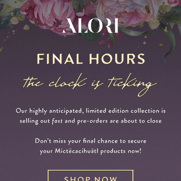 ⏰ FINAL HOURS: Pre-orders Are Closing! 🥀🕯️