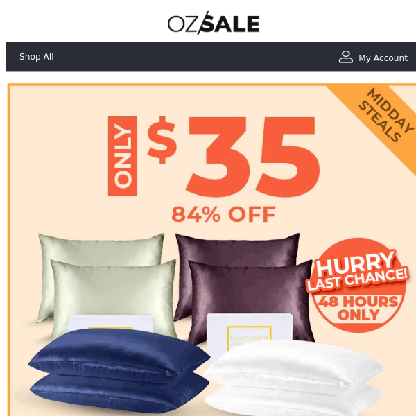 Just $35 Silk Twin Pillowcases - 48hrs ONLY!