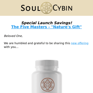 Master Mushrooms Blend - Now Available! (new offering with launch savings) 🙏