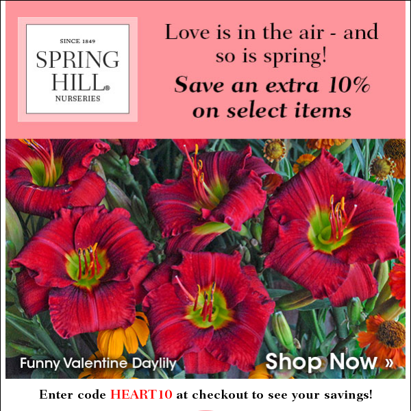 Valentine's Day Sale: Save an Extra 10%