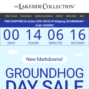 Groundhog Day Is Here! Let Spring Begin!🌷