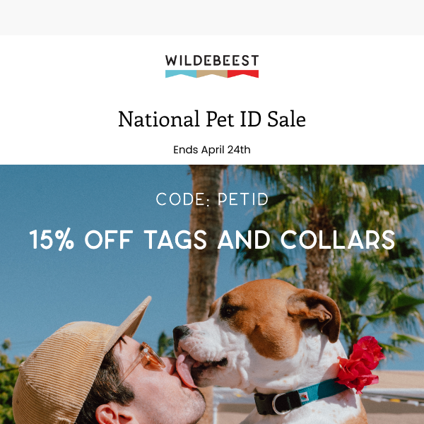 15% Off Tags & Collars 🐶