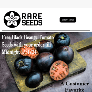 Limited Time Offer: FREE Black Beauty Tomato🍅🍅