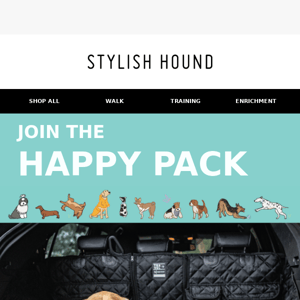 Happy Pack: Our New Travel Favourite🐶