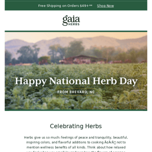 Happy National Herb Day! 🌿