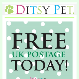 🎄FREE UK Postage Today ONLY + In Time For Christmas!