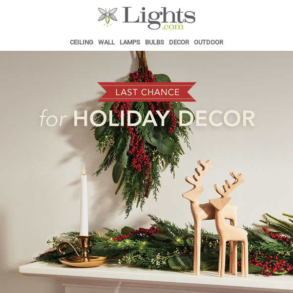 Last Chance to Deck the Halls! 🎅 | Lights.com