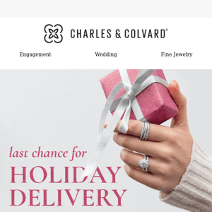 🚨 LAST CALL FOR HOLIDAY DELIVERY! 🚨