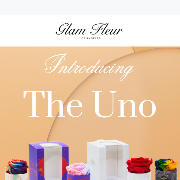 Introducing Uno Single Rose Boxes