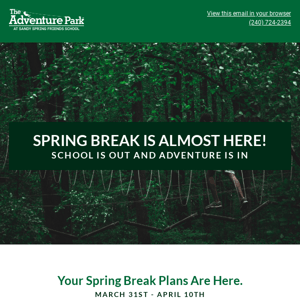 The ULTIMATE Spring Break Plans