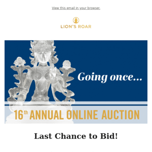 Last Chance to Bid in our Online Auction!