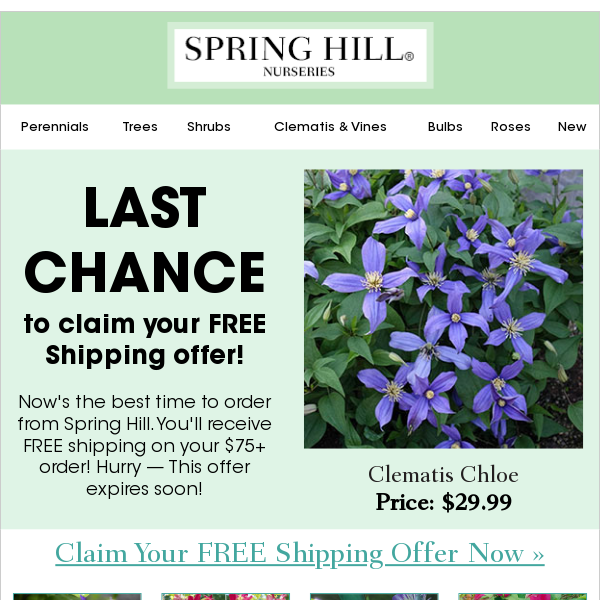 Last chance to claim your FREE shipping offer!