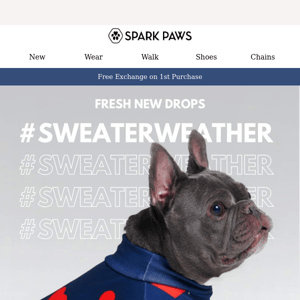 New Hoodies + Sweater Weather Sale! 🍁
