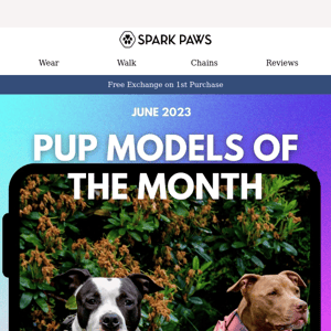 Pup Model of the Month: June 2023 Edition 😍⭐