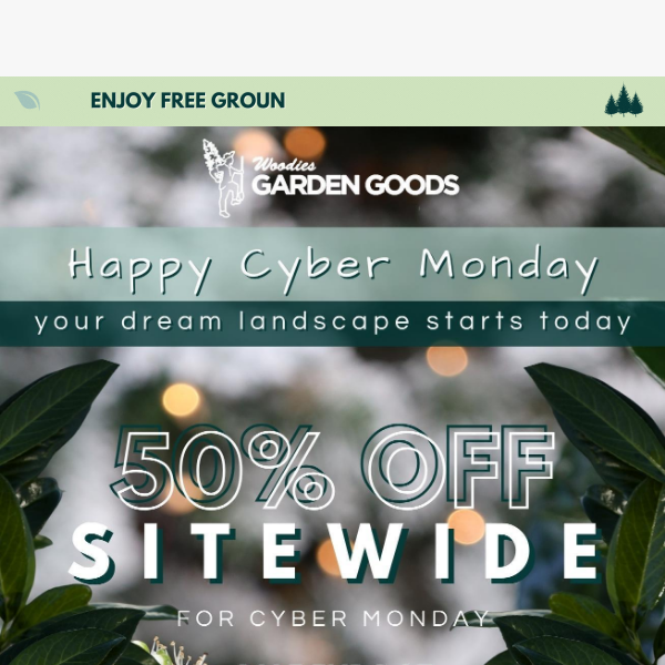 50% OFF SITEWIDE! These Cyber Monday Savings are Insane.🌲🌸🌱