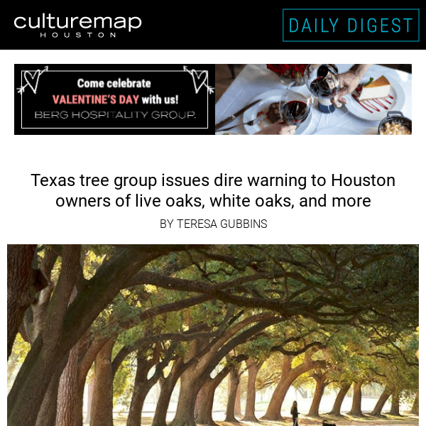 Dire warning issued to Houston oak tree owners
