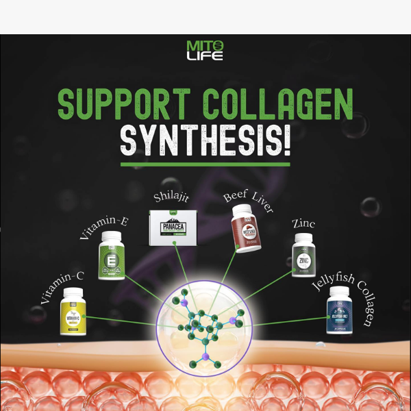 How to Support Collagen Synthesis