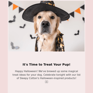 No Tricks, Just Treats: Our "Howl-o-ween" Favorites 🎃🐶🦇