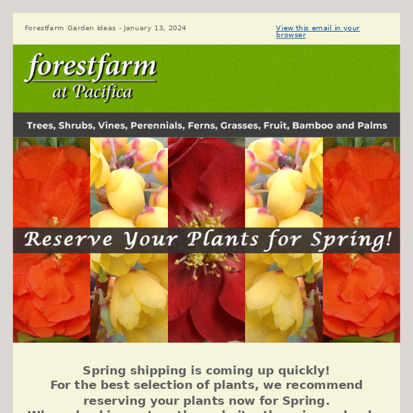 Reserve Your Plants Now for Spring Shipping!