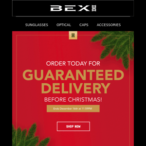 Guaranteed Delivery Before Christmas