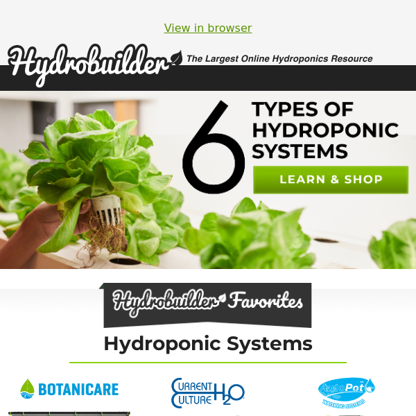 The Wonderful World of Hydroponics 💧🌱