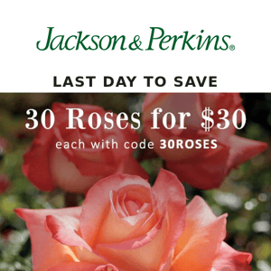 TIme is running out for $30 roses