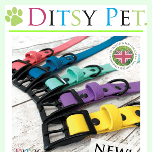 🐶 Look What's New | Biothane Collars Are Here