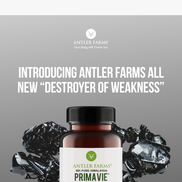 NEW Destroyer of Weakness Supplement Available NOW!