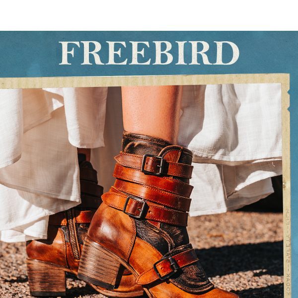 FREEBIRD STORES - DARLIN