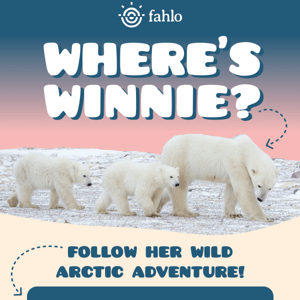 Where's Winnie?? 🐻‍❄️🗺️📍