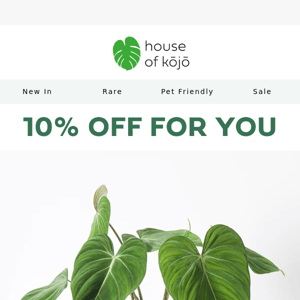 An exclusive 10% off code just for you 🌿