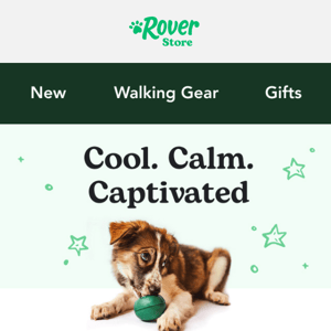 Ready to keep your dog entertained for hours?