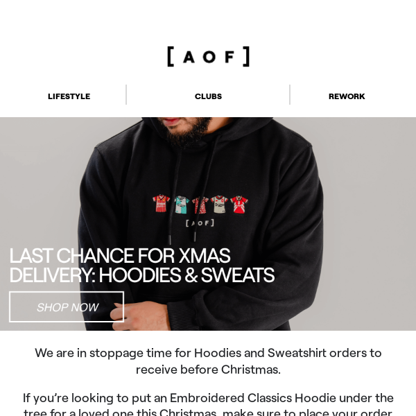 Last Chance: Christmas Delivery 🎅