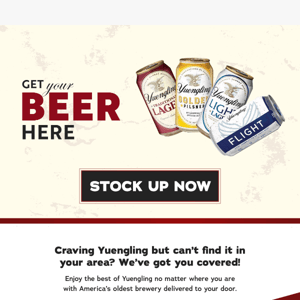 🍺Calling all Yuengling Fans 🍺