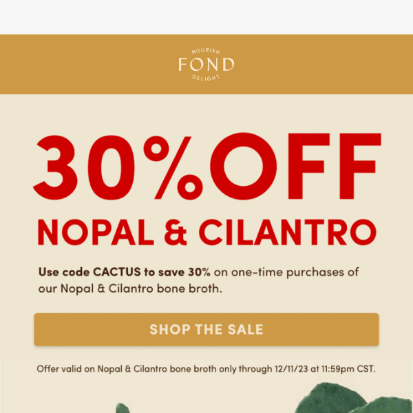 Nopal & Cilantro FLASH SALE 🌵🧡