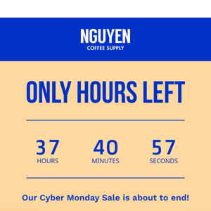 🚨Last chance to save on our CYBER MONDAY sale🚨