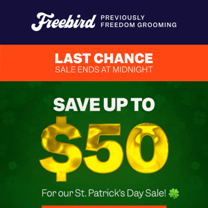 6 HOURS REMAIN: St. Patrick's Day Sale Ends at Midnight
