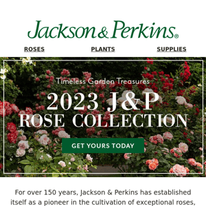 Complete Your Rose Garden Today