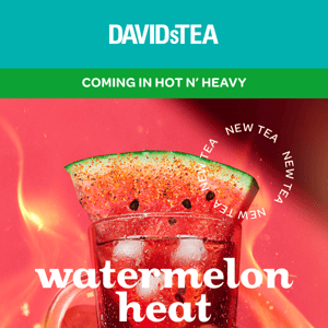 NEW TEA 🍉 🎉 🌶️