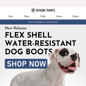 NEW Flex Shell Water-resistant Dog Boots! 🐶