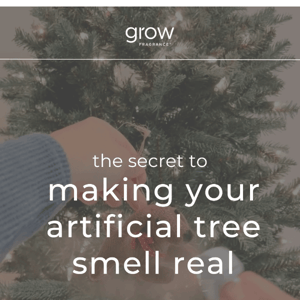 The Secret to Making Your Tree Smell Real 🎄