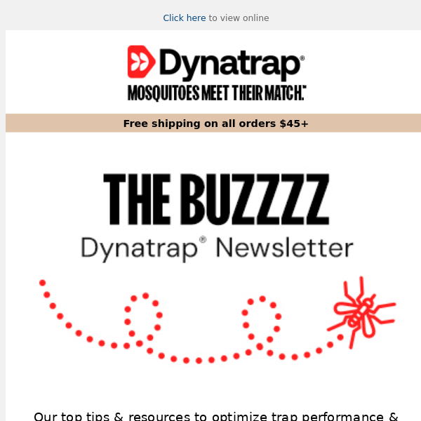 The BUZZZZ: Monthly Edition