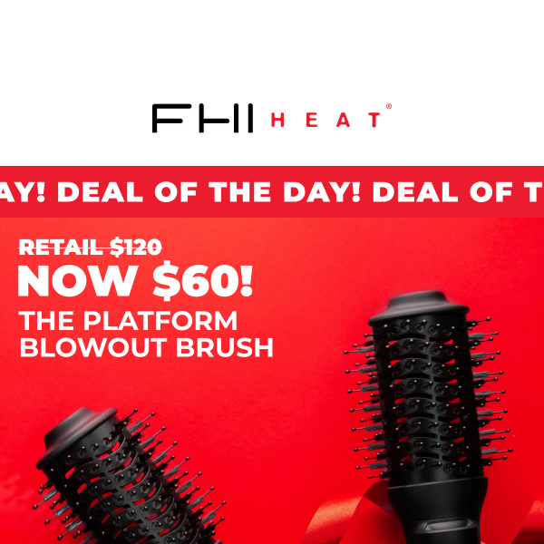 50% OFF THE BLOWOUT BRUSH!