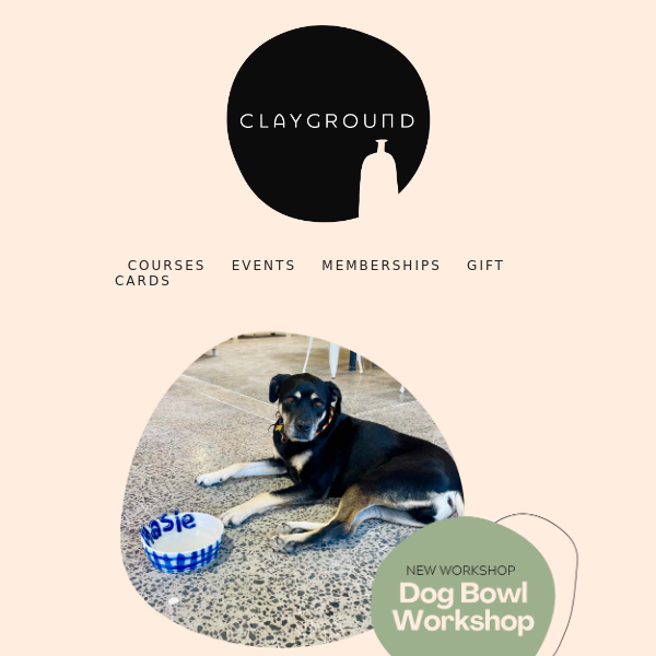 NEW Dog Bowl Workshop 🐶